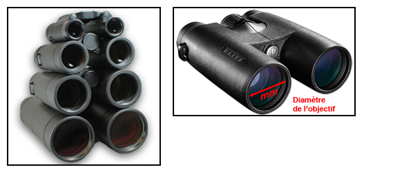 Le diamètre de l'objectif des jumelles